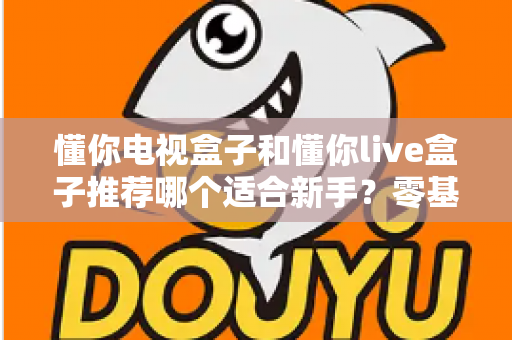 懂你电视盒子和懂你live盒子推荐哪个适合新手？零基础用户的选购指南与深度对比