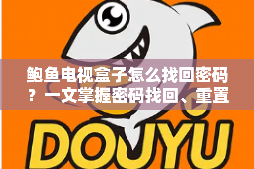 鲍鱼电视盒子怎么找回密码？一文掌握密码找回、重置与安全设置全流程指南