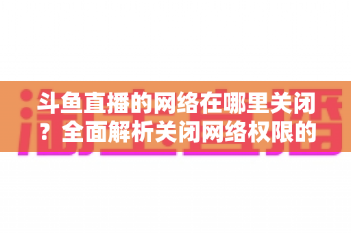 斗鱼直播的网络在哪里关闭？全面解析关闭网络权限的详细步骤与实用技巧
