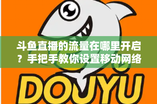 斗鱼直播的流量在哪里开启？手把手教你设置移动网络播放与实用省流攻略