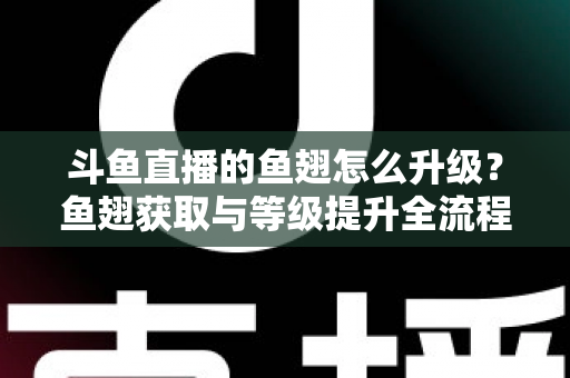 斗鱼直播的鱼翅怎么升级？鱼翅获取与等级提升全流程攻略详解