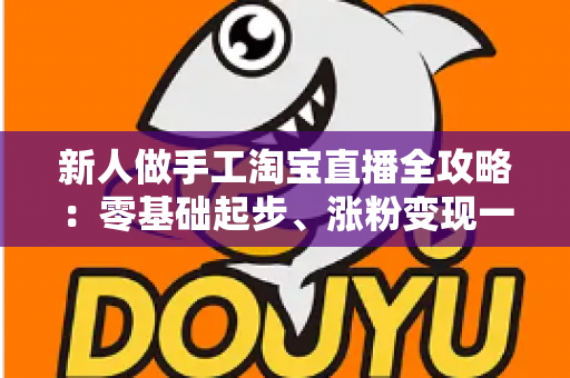 新人做手工淘宝直播全攻略：零基础起步、涨粉变现一步到位的实战指南