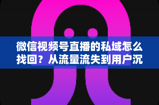 微信视频号直播的私域怎么找回？从流量流失到用户沉淀的全链路解决方案