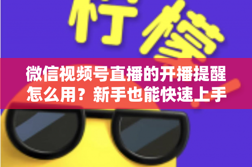微信视频号直播的开播提醒怎么用？新手也能快速上手的完整操作指南与涨粉秘籍