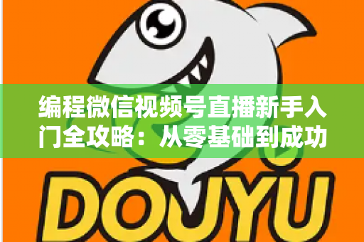 编程微信视频号直播新手入门全攻略：从零基础到成功开播的完整指南