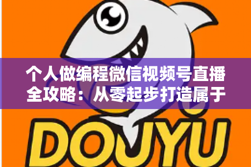 个人做编程微信视频号直播全攻略:从零起步打造属于你的技术影响力与变现之路 个人做编程微信视频号直播全攻略:从零起步打造属于你的技术影响力与变现之路