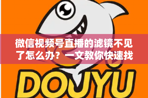 微信视频号直播的滤镜不见了怎么办?一文教你快速找回滤镜功能的完整攻略 微信视频号直播的滤镜不见了怎么办?一文教你快速找回滤镜功能的完整攻略
