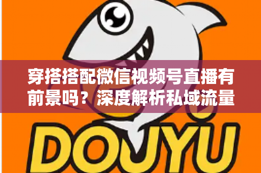 穿搭搭配微信视频号直播有前景吗？深度解析私域流量时代的时尚创业新机遇