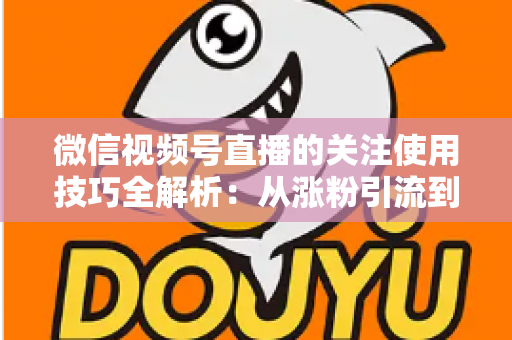 微信视频号直播的关注使用技巧全解析：从涨粉引流到高效观看的实用指南