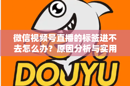 微信视频号直播的标签进不去怎么办?原因分析与实用解决指南 微信视频号直播的标签进不去怎么办?原因分析与实用解决指南