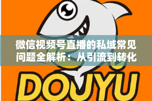微信视频号直播的私域常见问题全解析：从引流到转化的实战指南