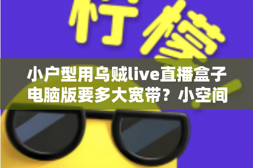 小户型用乌贼live直播盒子电脑版要多大宽带？小空间直播带宽配置与优化全攻略