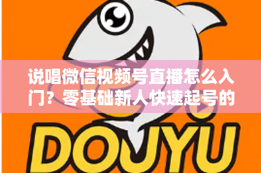 说唱微信视频号直播怎么入门?零基础新人快速起号的实战指南 说唱微信视频号直播怎么入门?零基础新人快速起号的实战指南