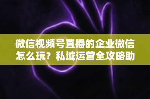 微信视频号直播的企业微信怎么玩?私域运营全攻略助力企业流量变现 微信视频号直播的企业微信怎么玩?私域运营全攻略助力企业流量变现