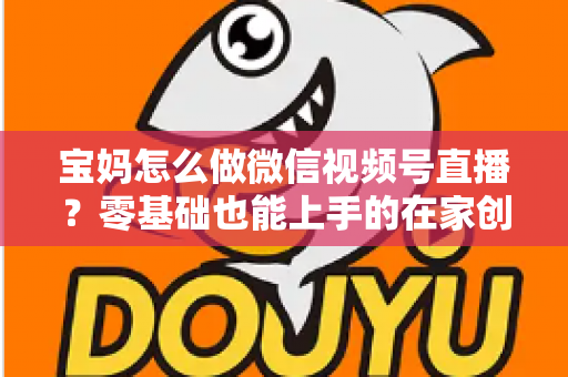 宝妈怎么做微信视频号直播?零基础也能上手的在家创业指南 宝妈怎么做微信视频号直播?零基础也能上手的在家创业指南