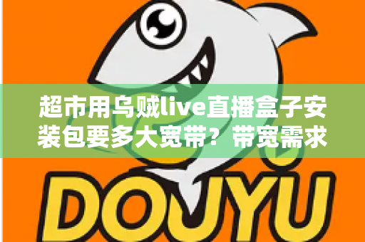 超市用乌贼live直播盒子安装包要多大宽带？带宽需求全解析与实用选配指南