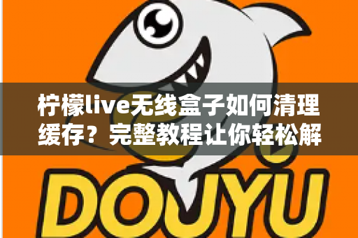 柠檬live无线盒子如何清理缓存?完整教程让你轻松解决卡顿问题 柠檬live无线盒子如何清理缓存?完整教程让你轻松解决卡顿问题