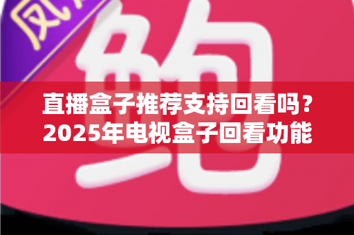 直播盒子推荐支持回看吗？2025年电视盒子回看功能深度解析与选购全攻略